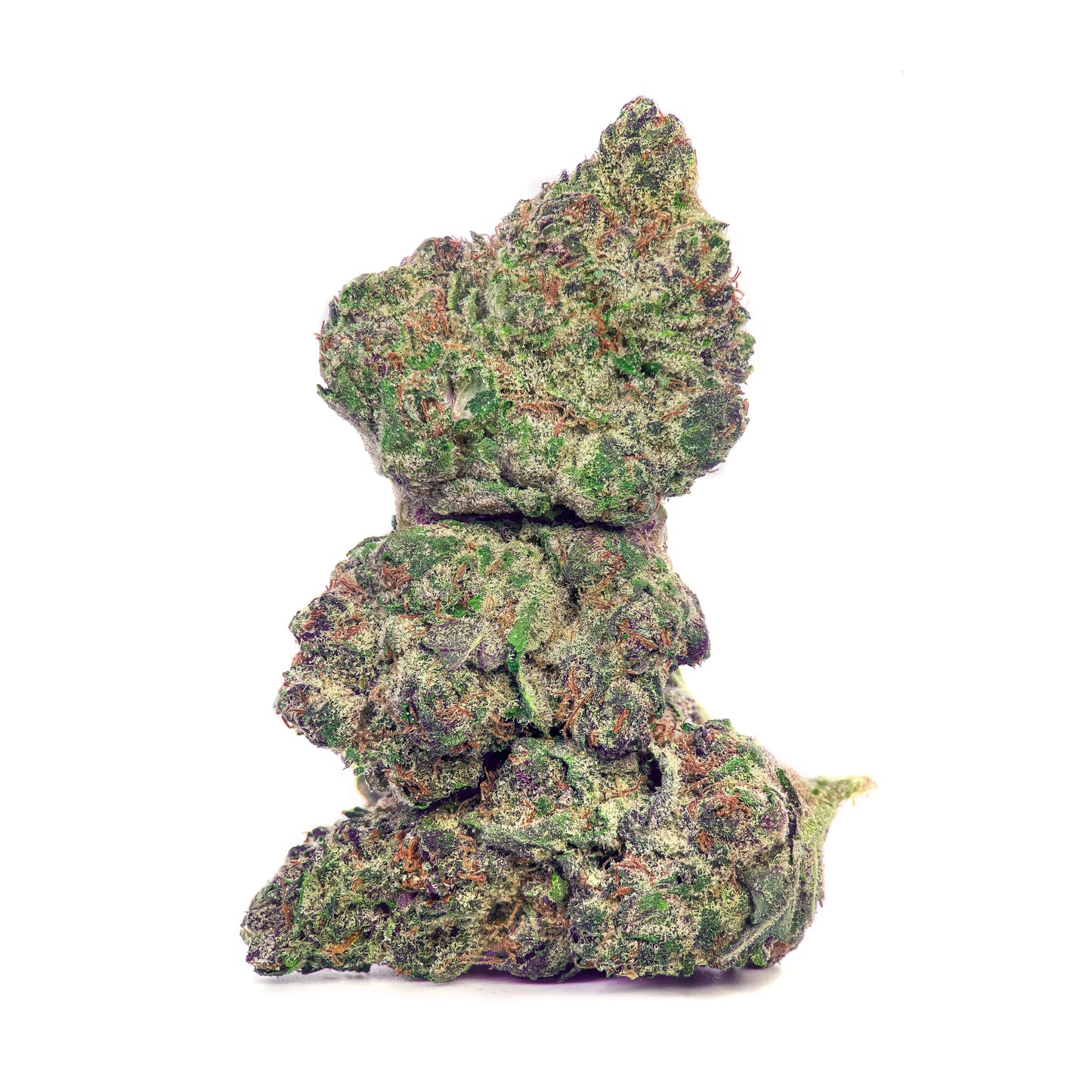 SasquaTHCa Permanent Marker Hemp flower