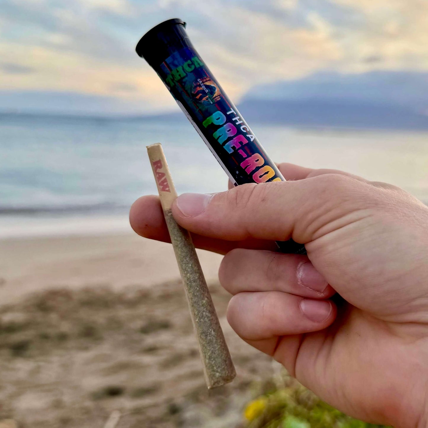 THCa King Size Pre-Roll - Sample Pack