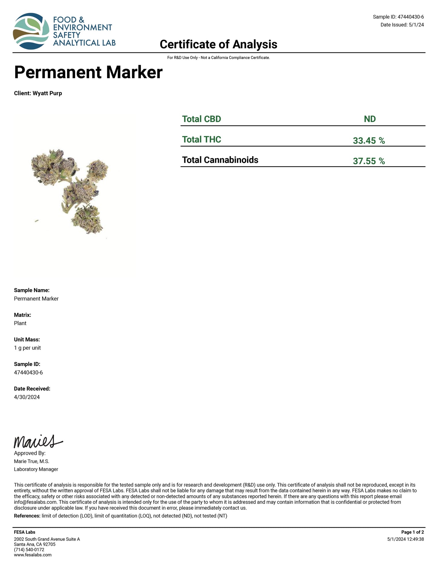 Permanent Marker  – Best THCa Smokable Hemp Flower