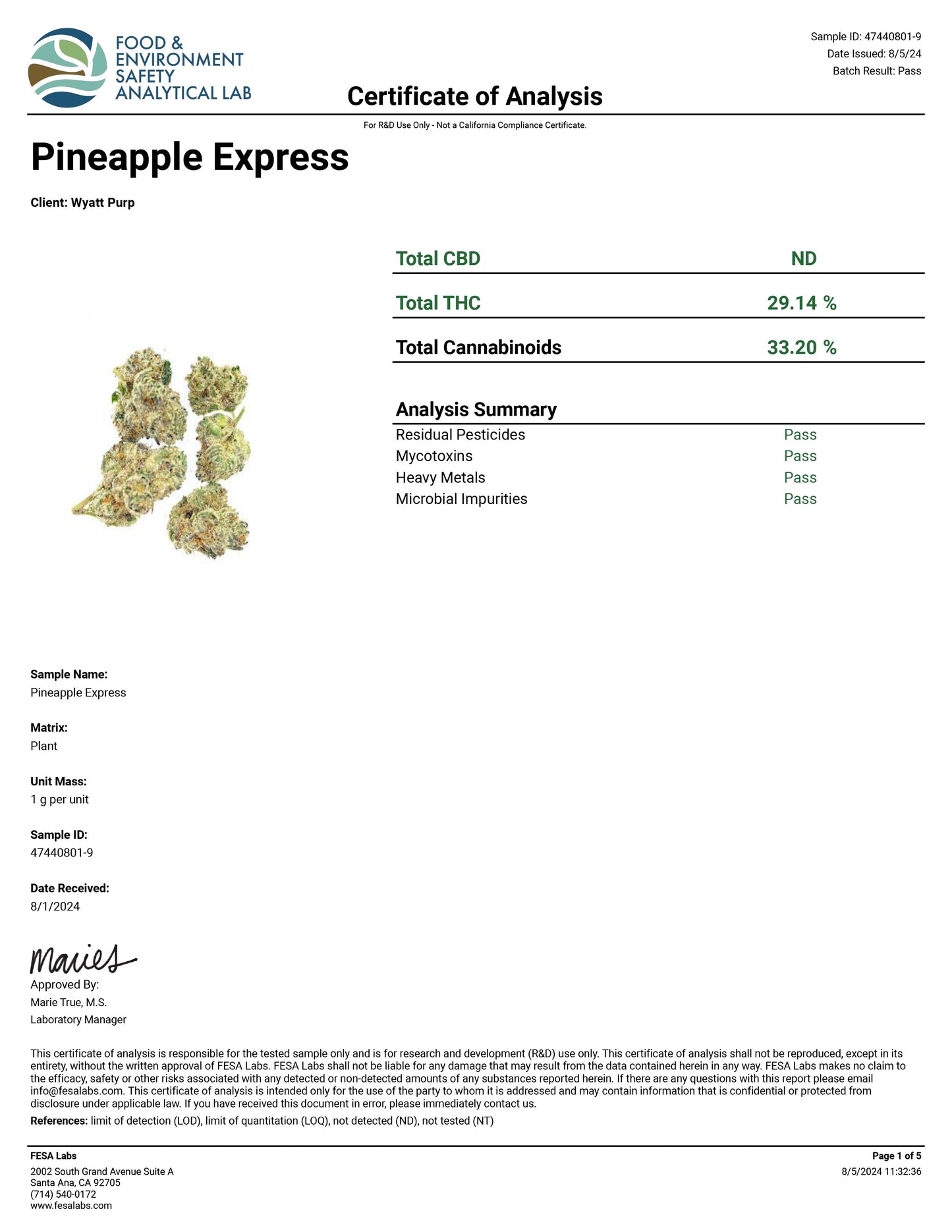 Pineapple Express  – Best THCa Smokable Hemp Flower